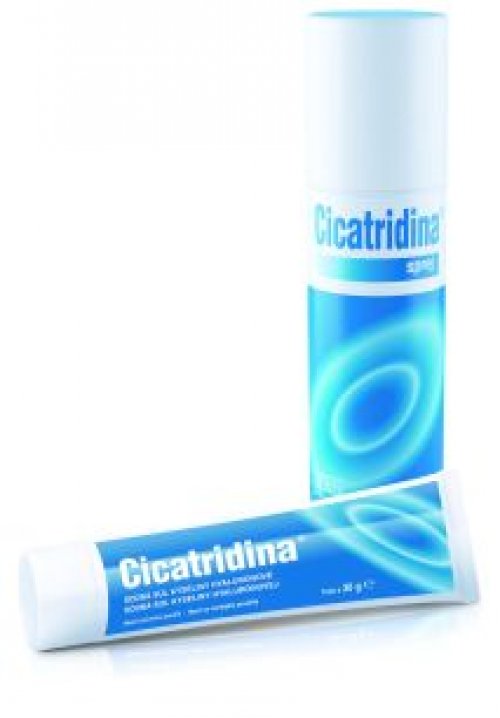 Cicatridina