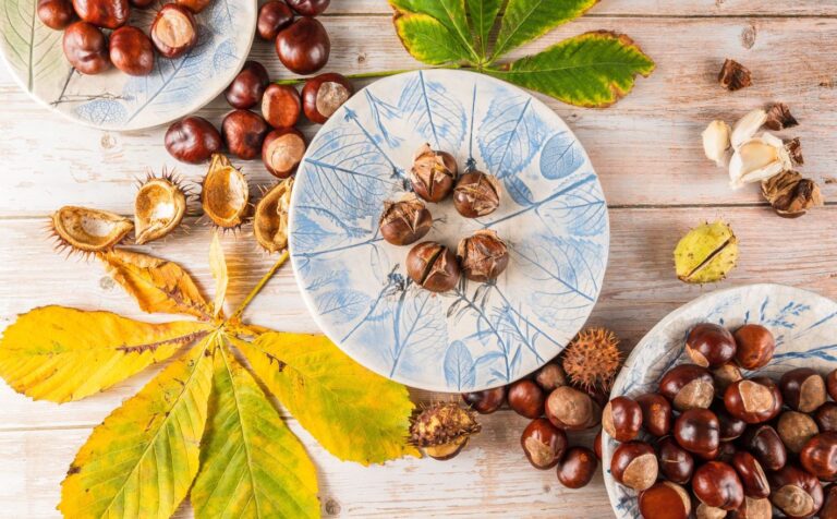 Potraviny pro podzimní vaření: jak nám prospěje dýně, řepa, kaštany a topinambury