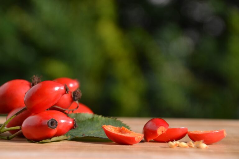 Šípky: na posílení imunity i pro krásnou pleť