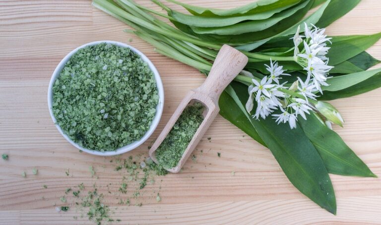Medvědí česnek: pomáhá s detoxikací i doplněním vitaminů po zimě
